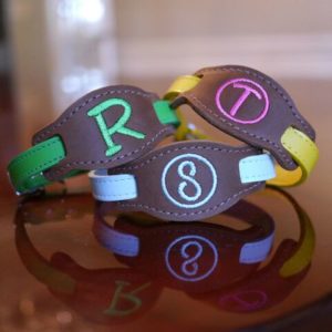 pet collar