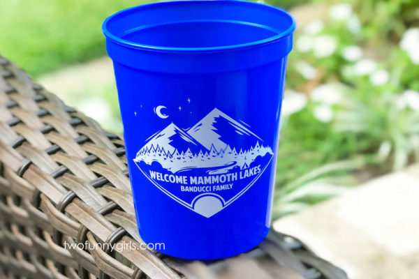 Personalized Stadium Cups for Family Vacation {16 oz}