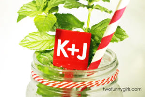 Personalized Plastic Drink Stirrers (All Top Shapes and Colors}
