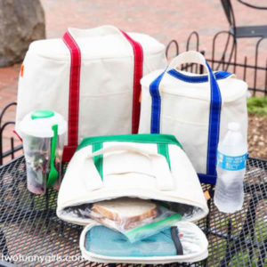 Insulated Cooler Bags