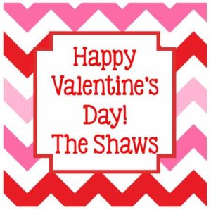 Valentine's Day Sticker - Chevron Multi