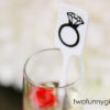 Personalized Plastic Drink Stirrers for Bachelorette/Wedding Shower - Image 2