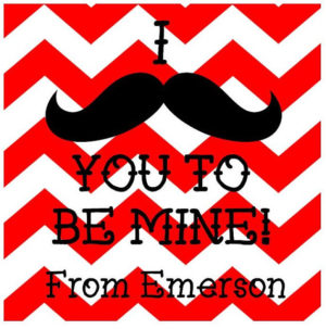 Valentine's Day Sticker - Mustache Chevron