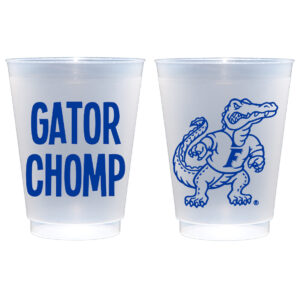 University of Florida Campus Skyline {Frosted Roadie Cup 10 Pack}